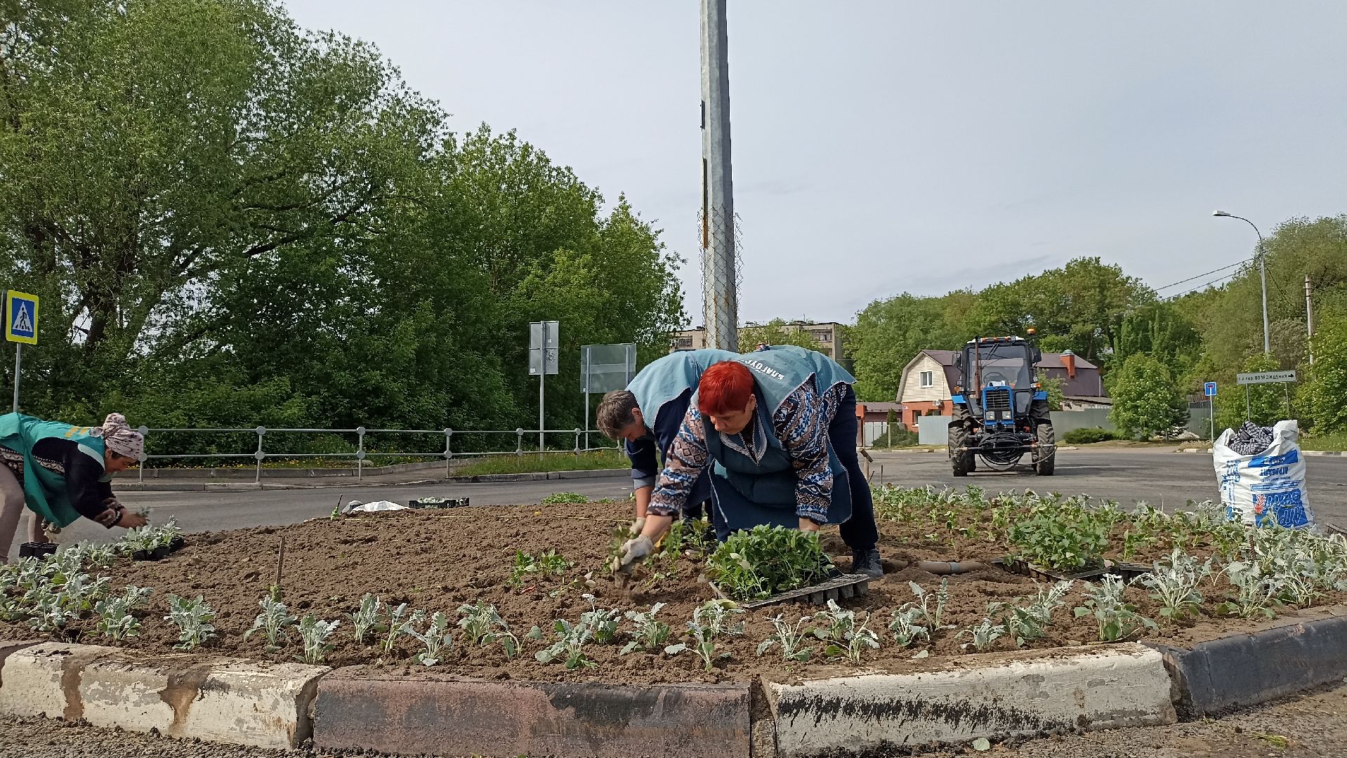 Серпухов, Подмосковье, цветы, посадка, благоустройство