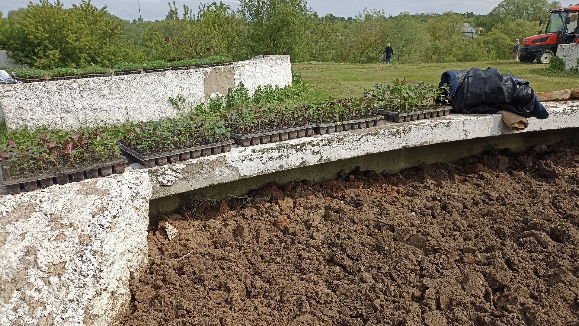 Серпухов, Подмосковье, цветы, посадка, благоустройство