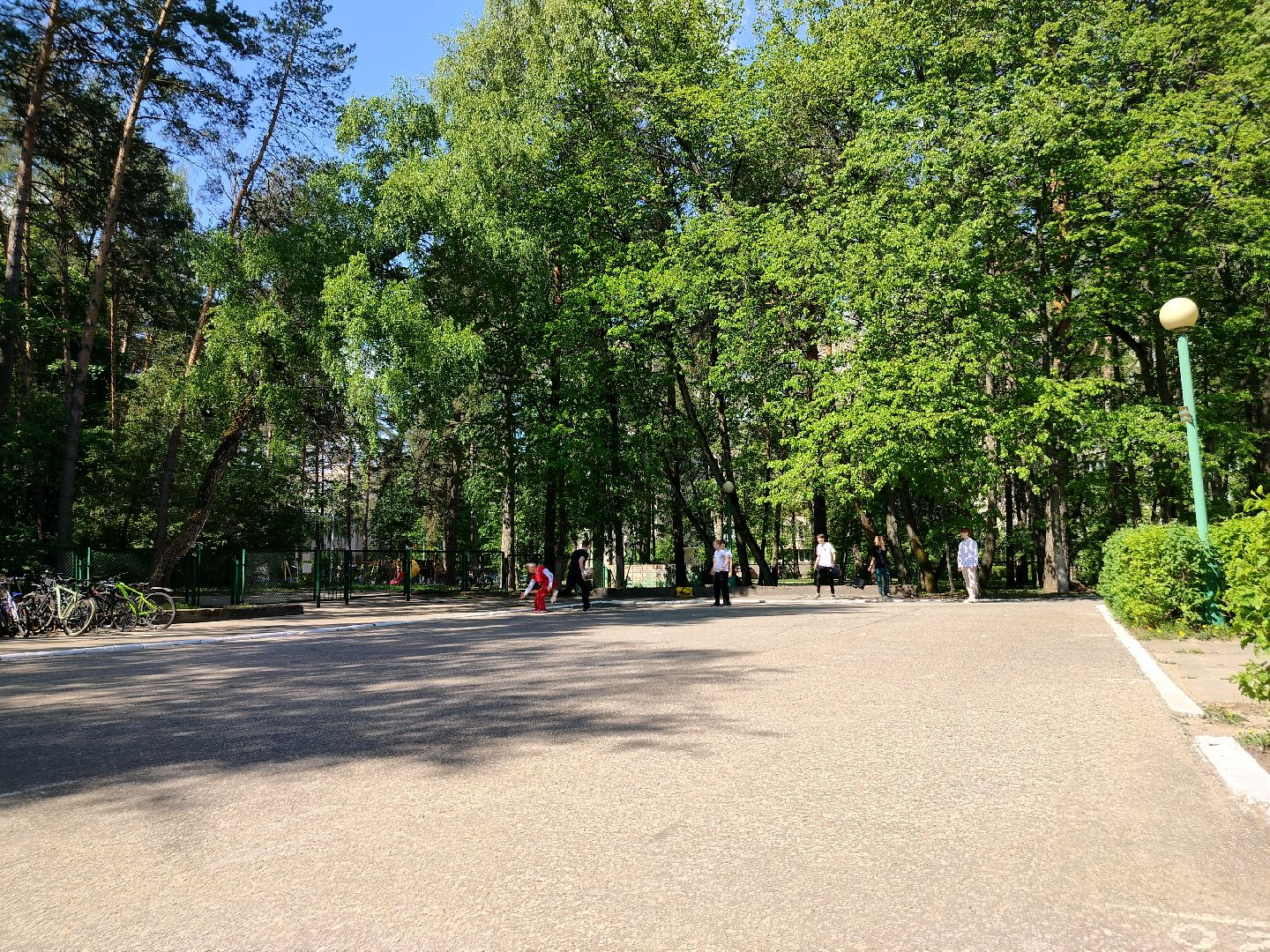 лапта, спорт, традиции, Протвино, физкультура, дети