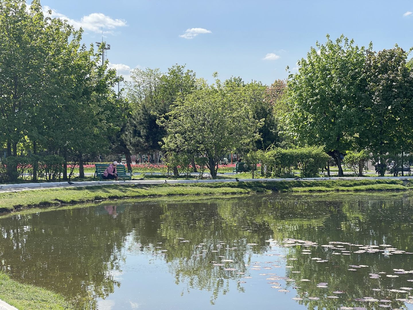 Одинцово, художник, благоустройство,