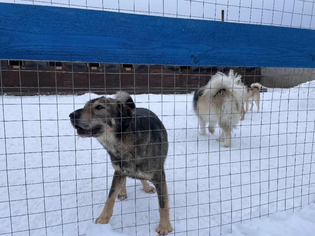 Клин, общество