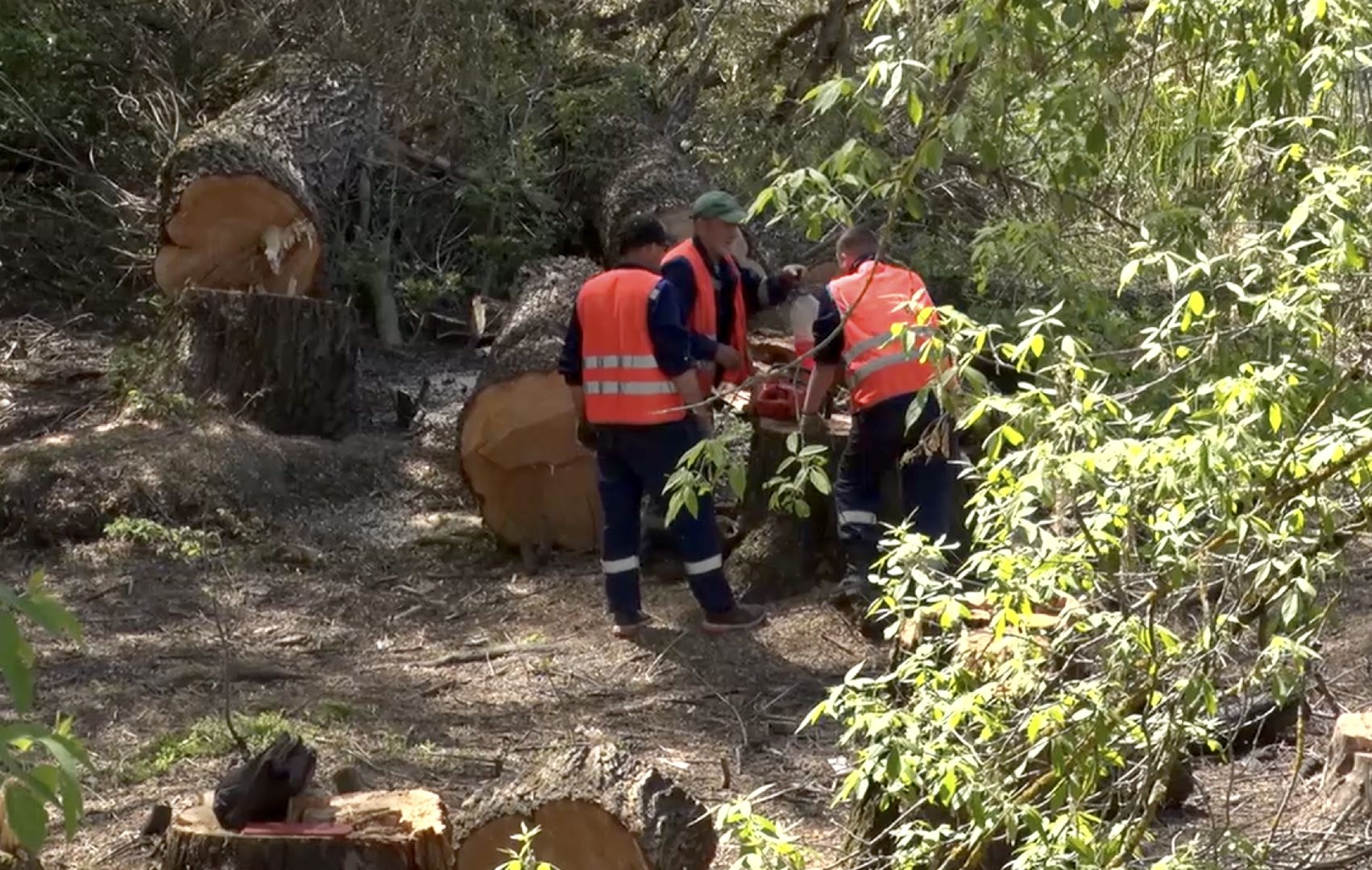 Клин, благоустройство, люди, перемены