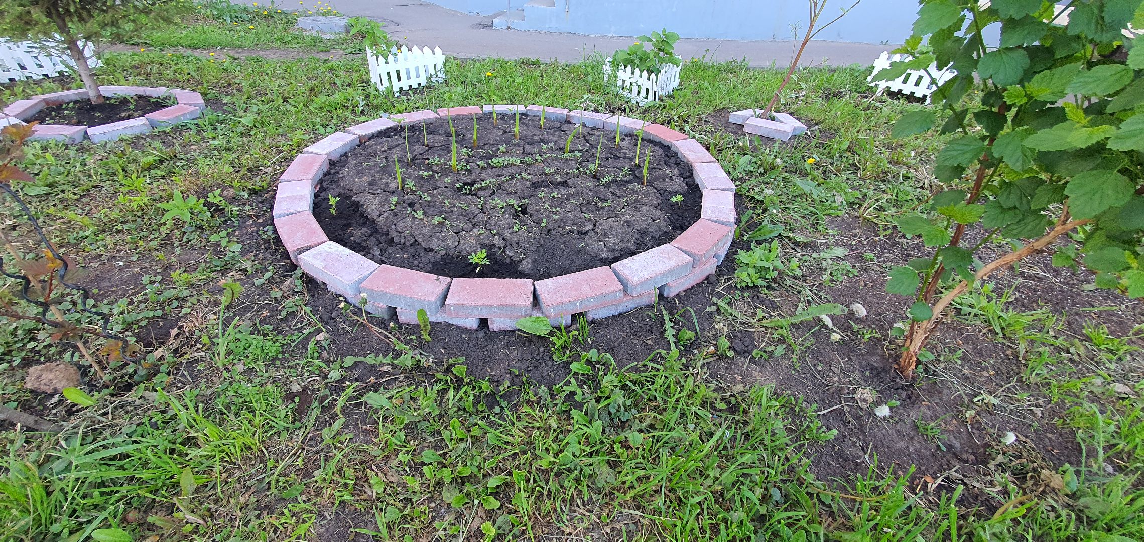 мкр Южный, цветы, Домодедово