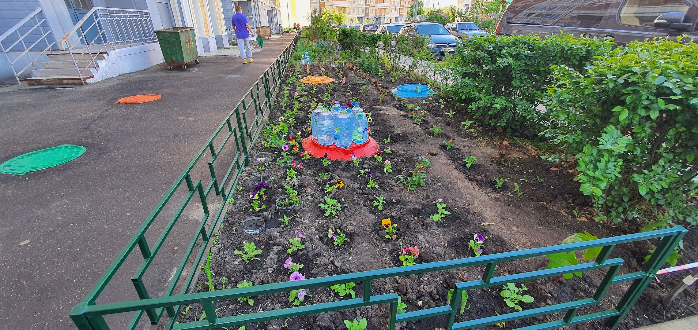 мкр Южный, цветы, Домодедово