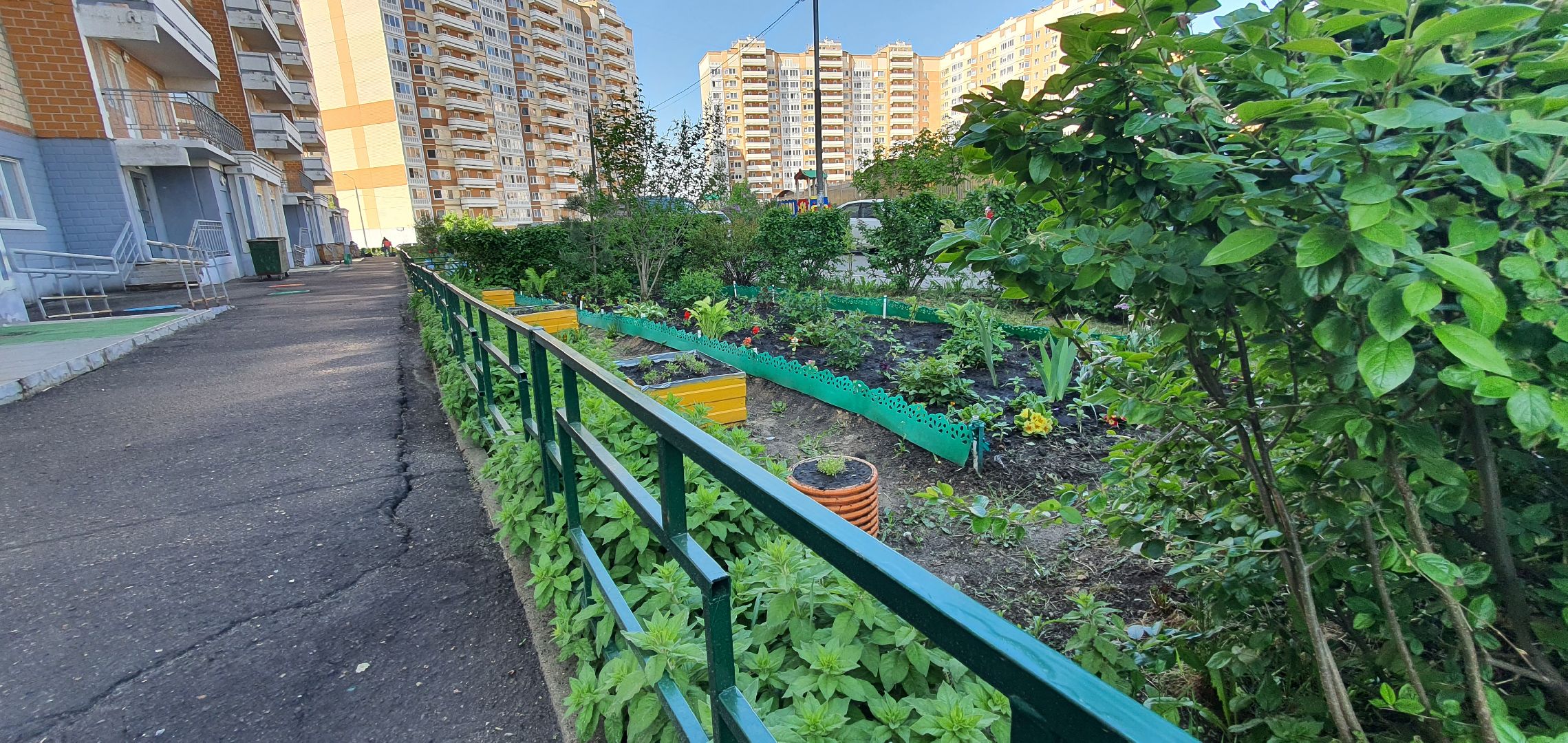 мкр Южный, цветы, Домодедово