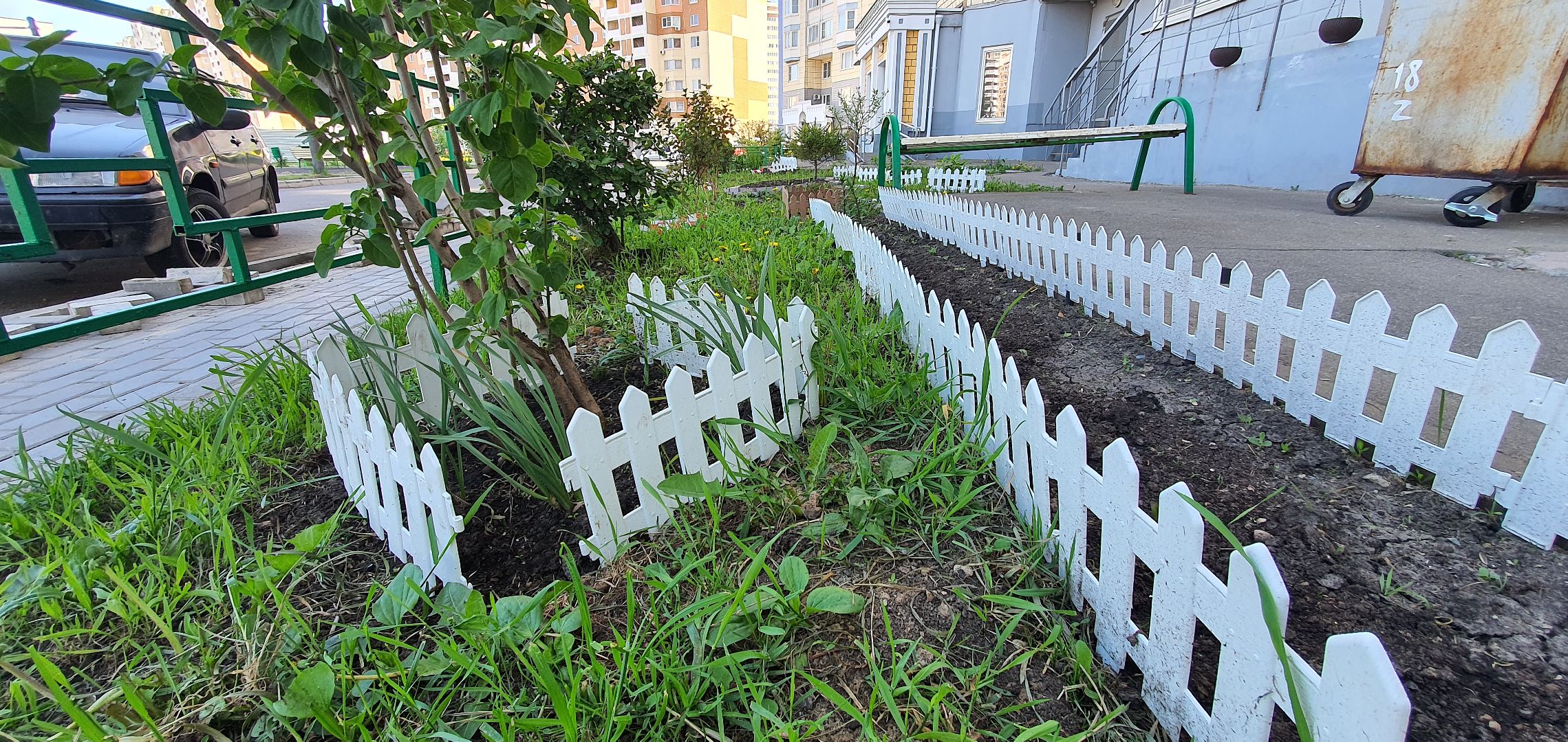 мкр Южный, цветы, Домодедово