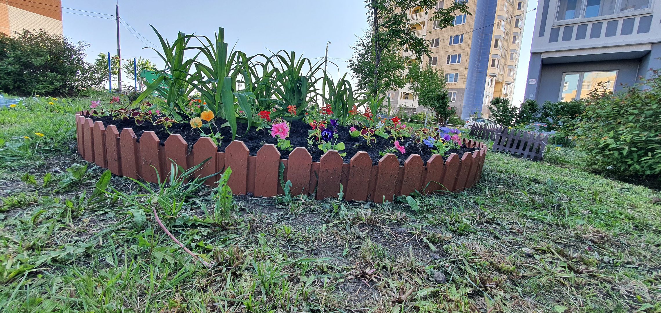 мкр Южный, цветы, Домодедово