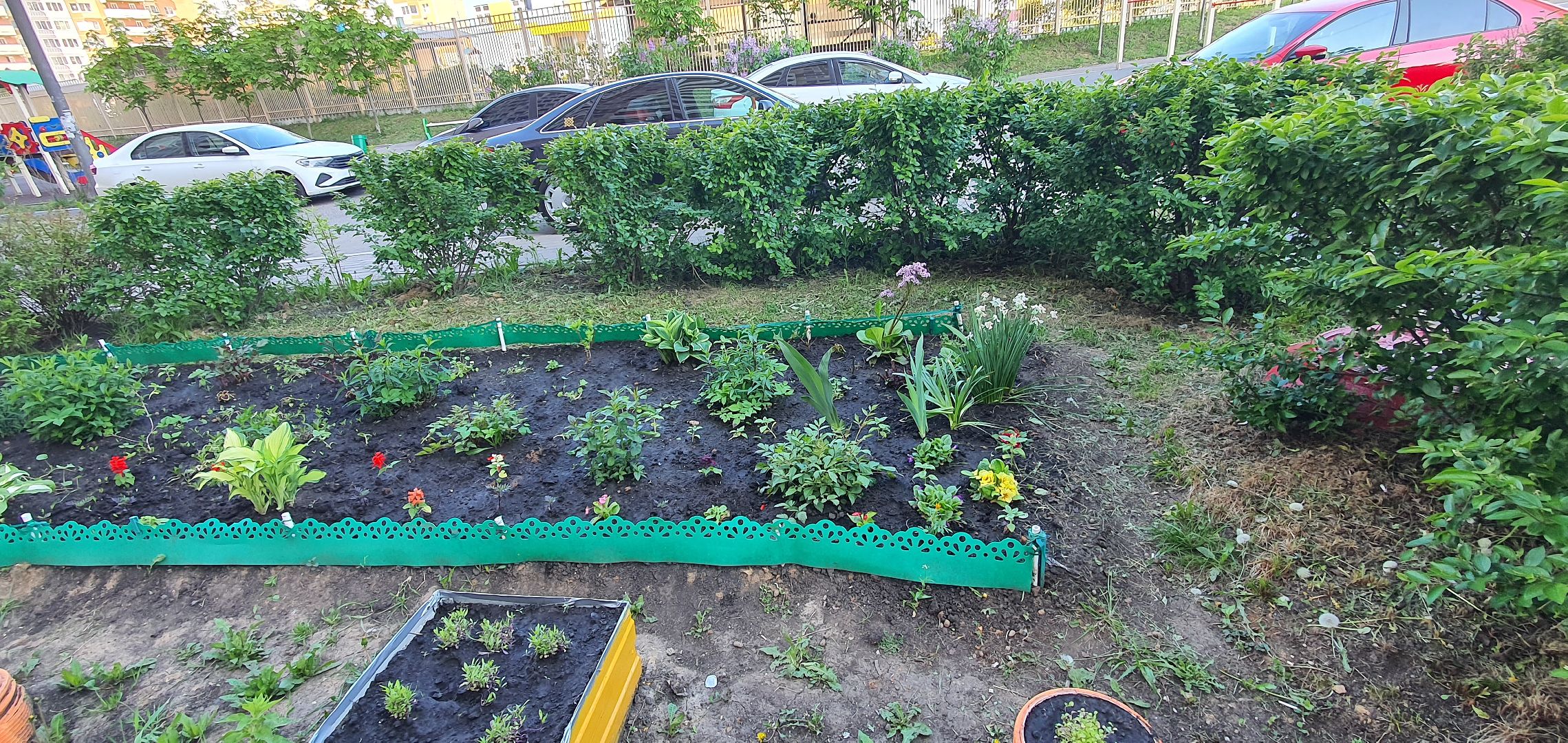 мкр Южный, цветы, Домодедово