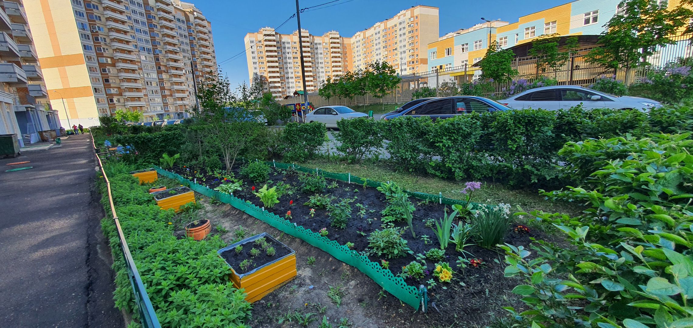 мкр Южный, цветы, Домодедово