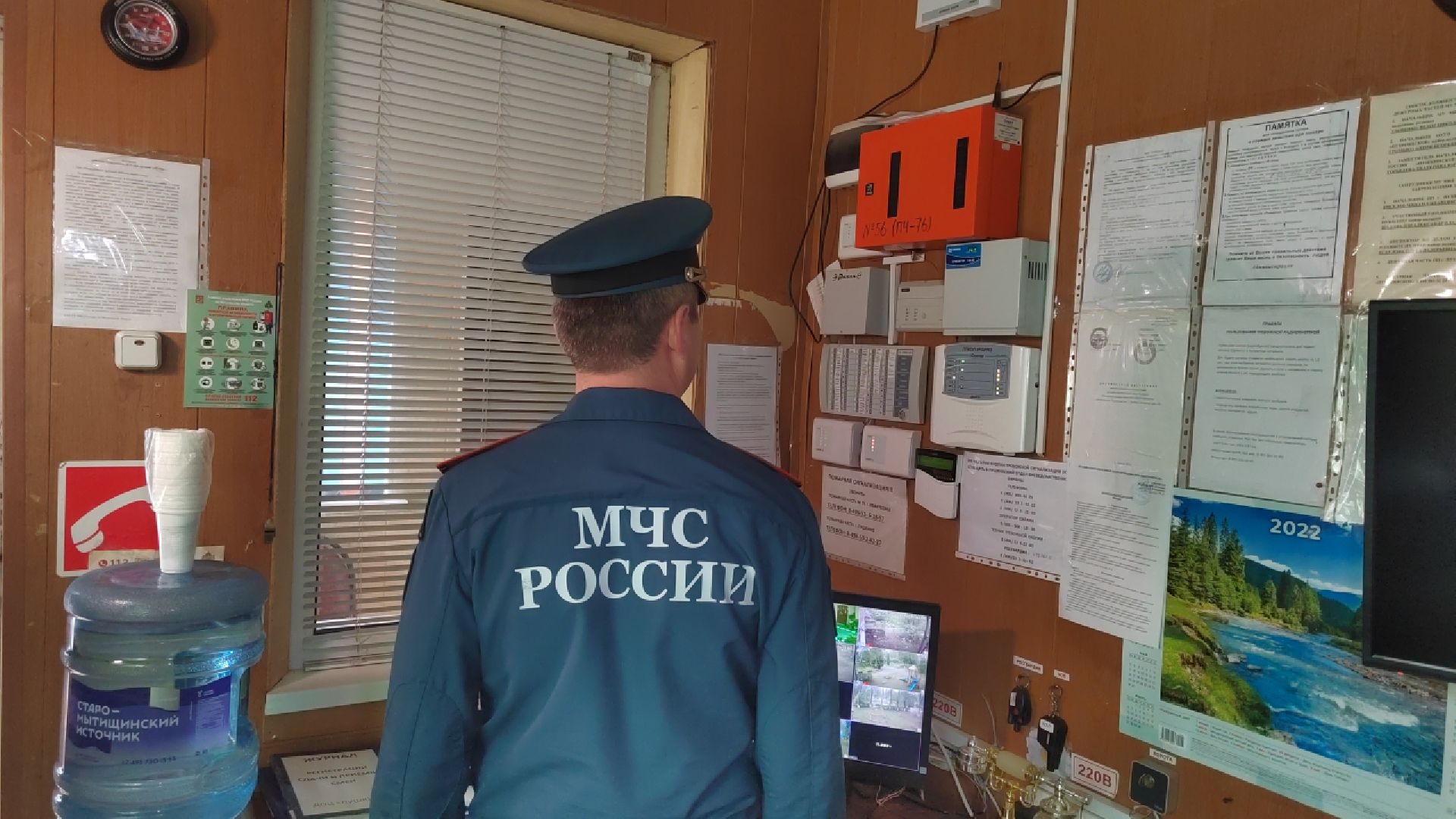 Пушкино, детские лагеря, оздоровительная кампания, здоровье, дети, общество