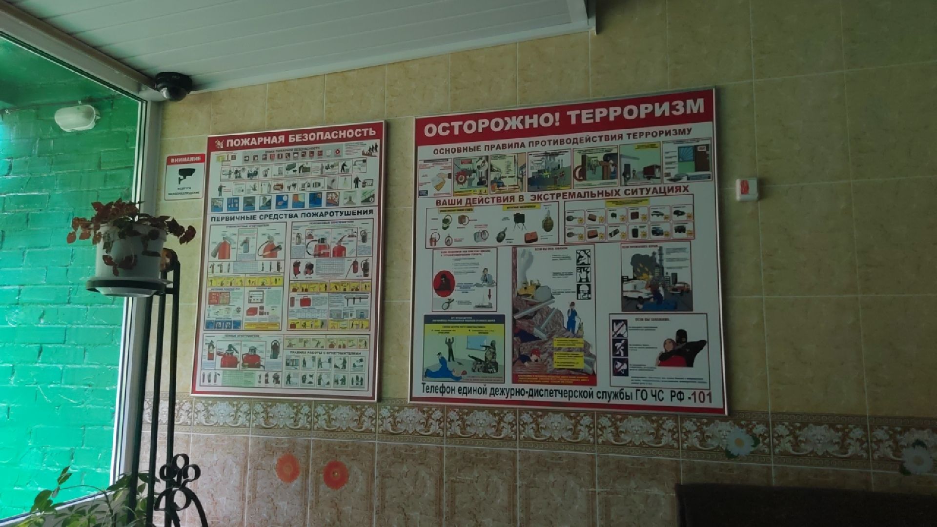 Пушкино, детские лагеря, оздоровительная кампания, здоровье, дети, общество