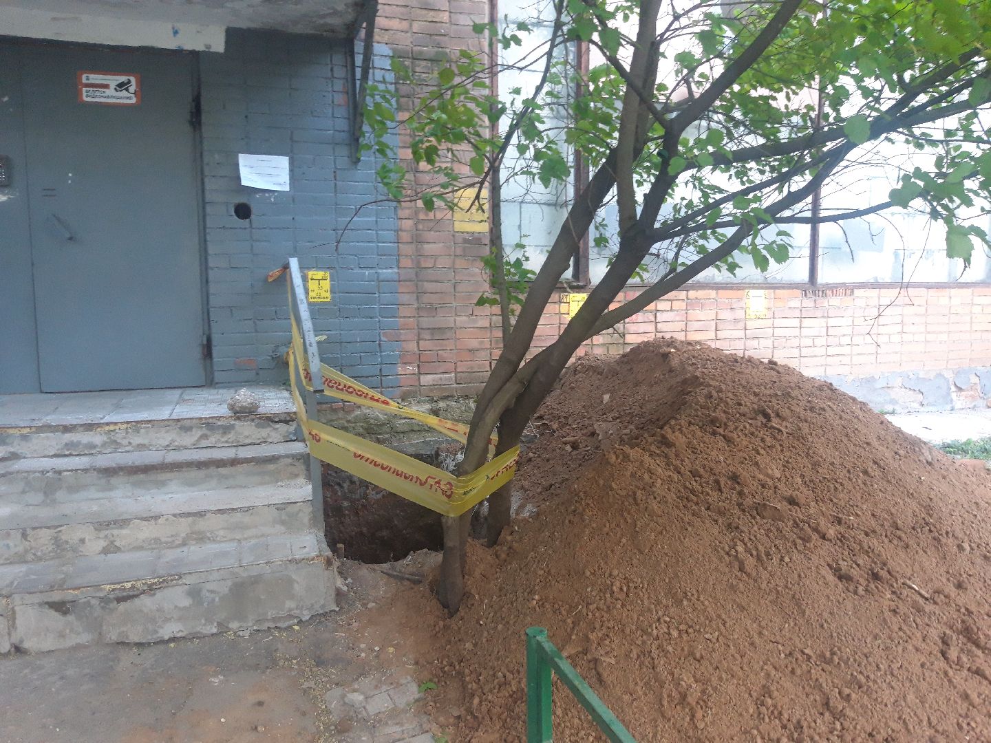 двор, помощь людям,