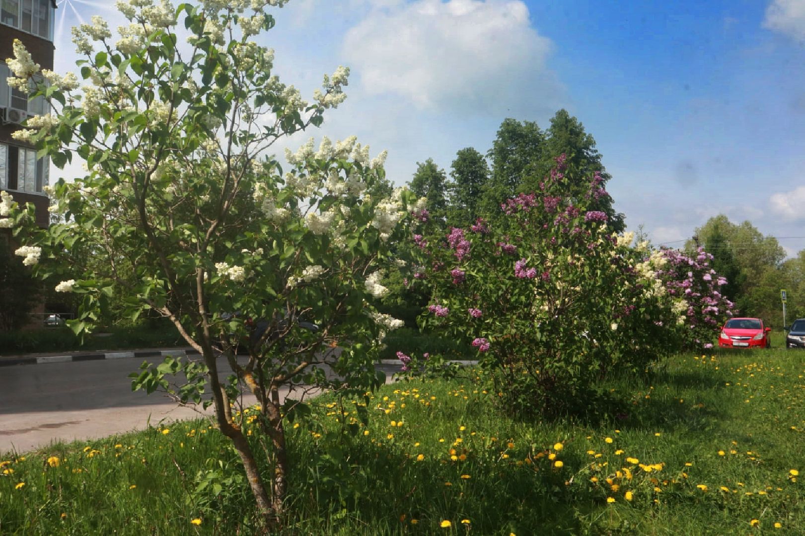 Пущино, экология, благоустройство