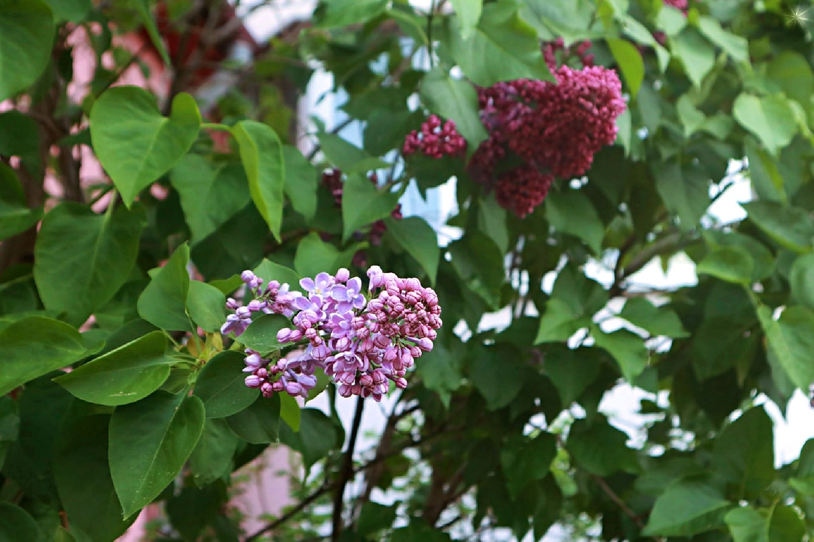 Пущино, экология, благоустройство