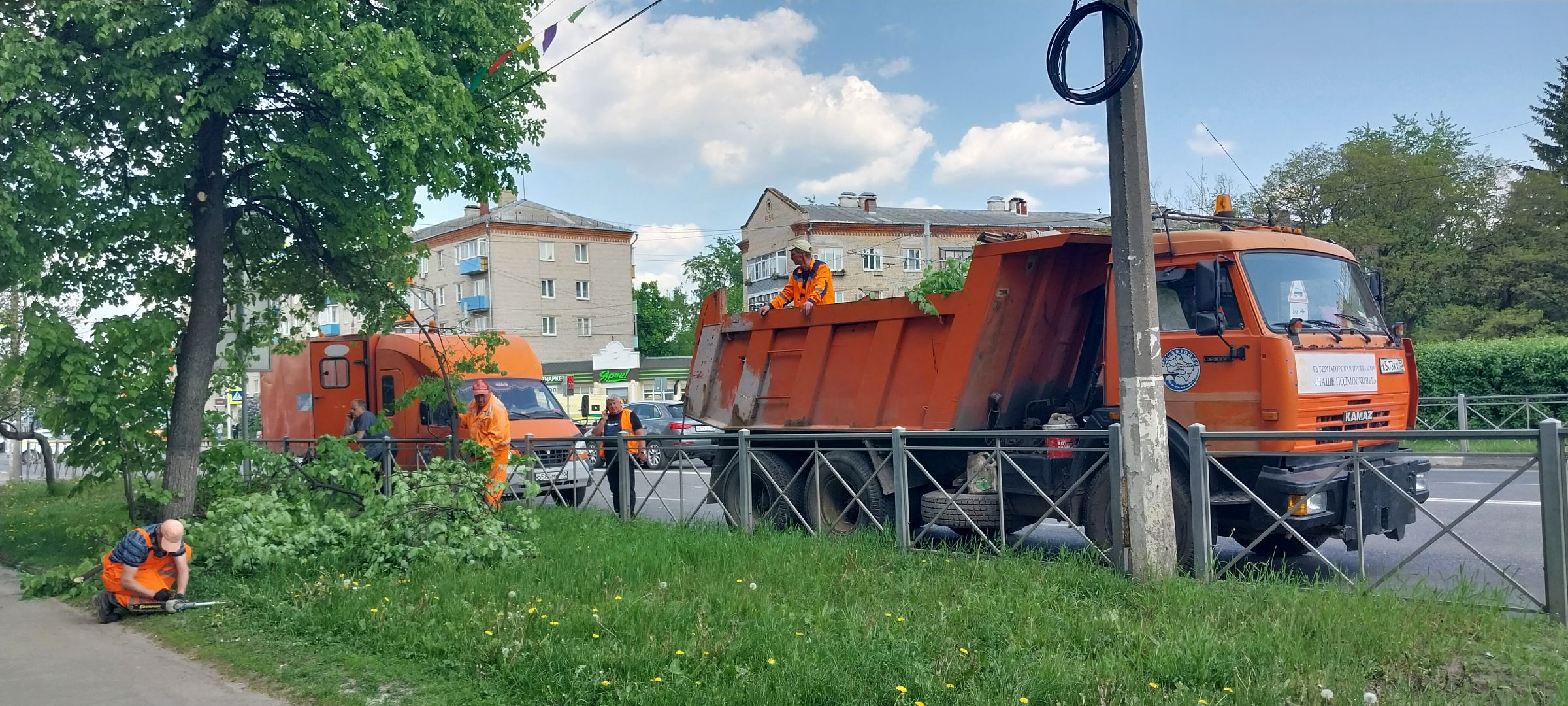 коломна, дорожные работы, деревья