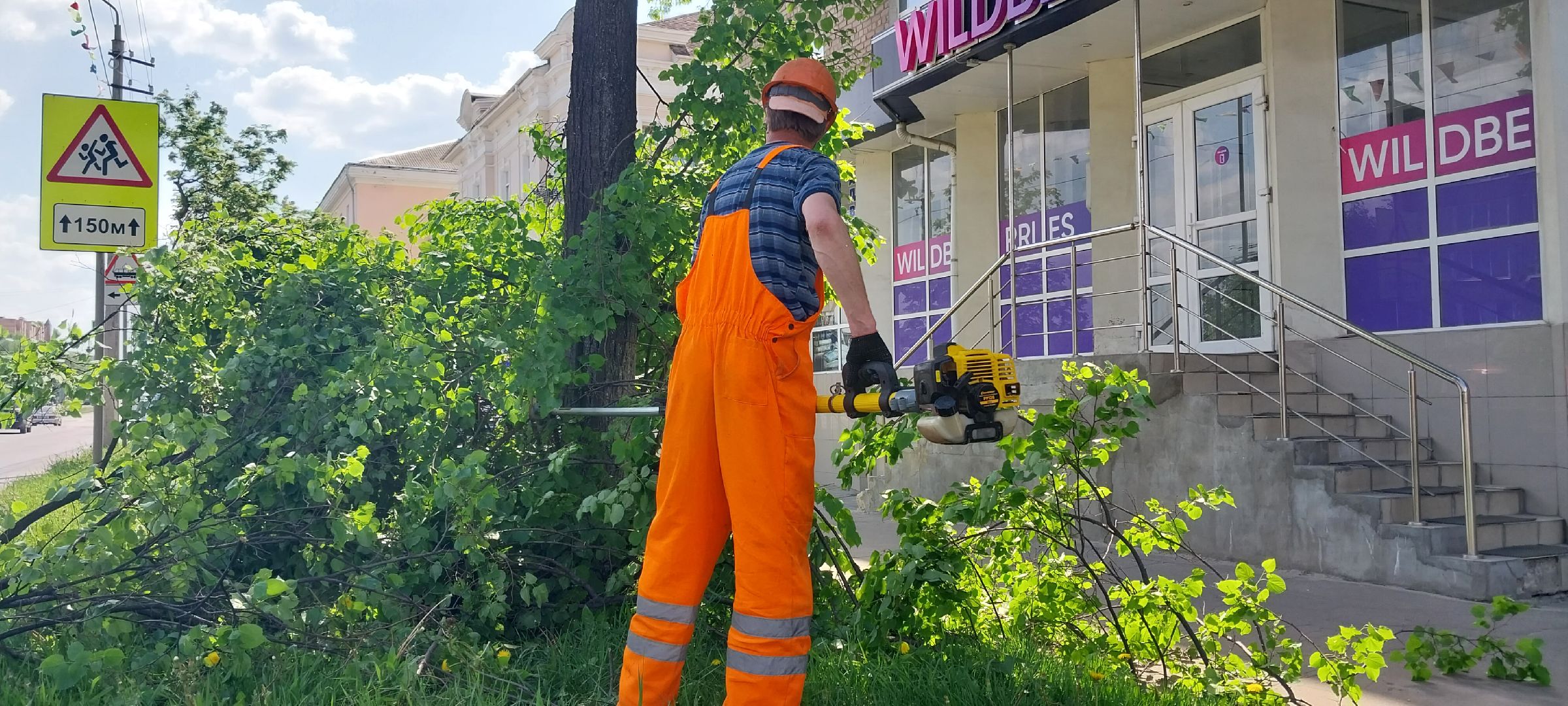 коломна, дорожные работы, деревья