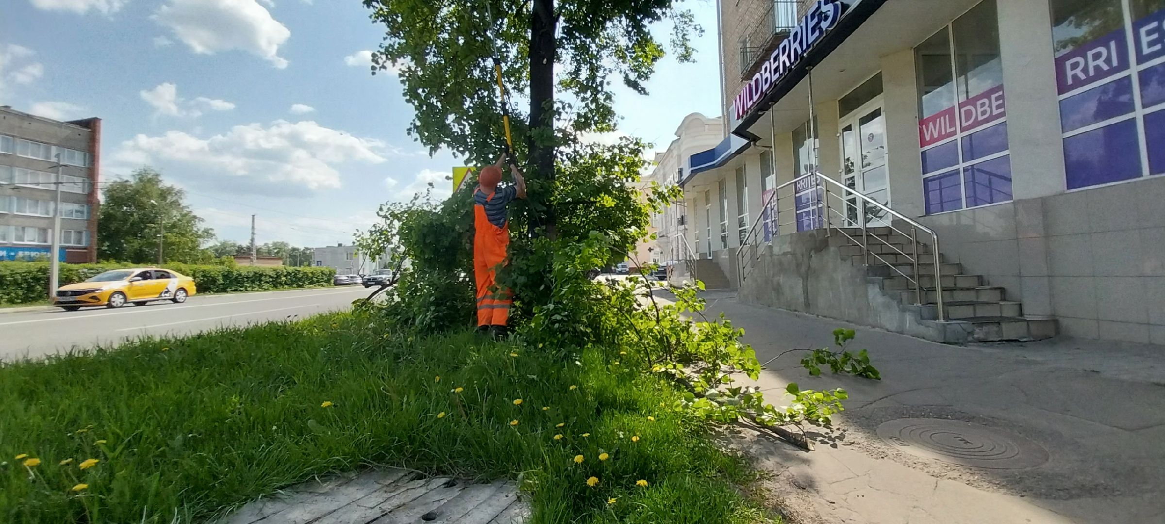 коломна, дорожные работы, деревья