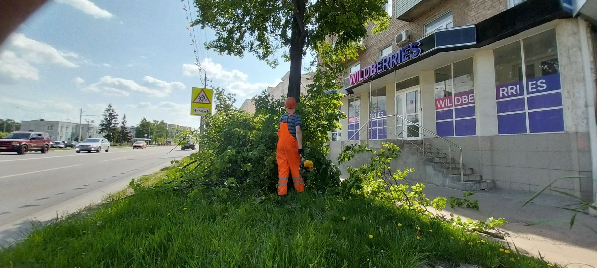 коломна, дорожные работы, деревья