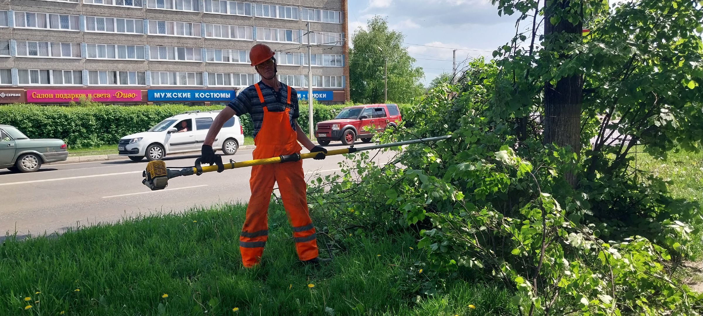 коломна, дорожные работы, деревья