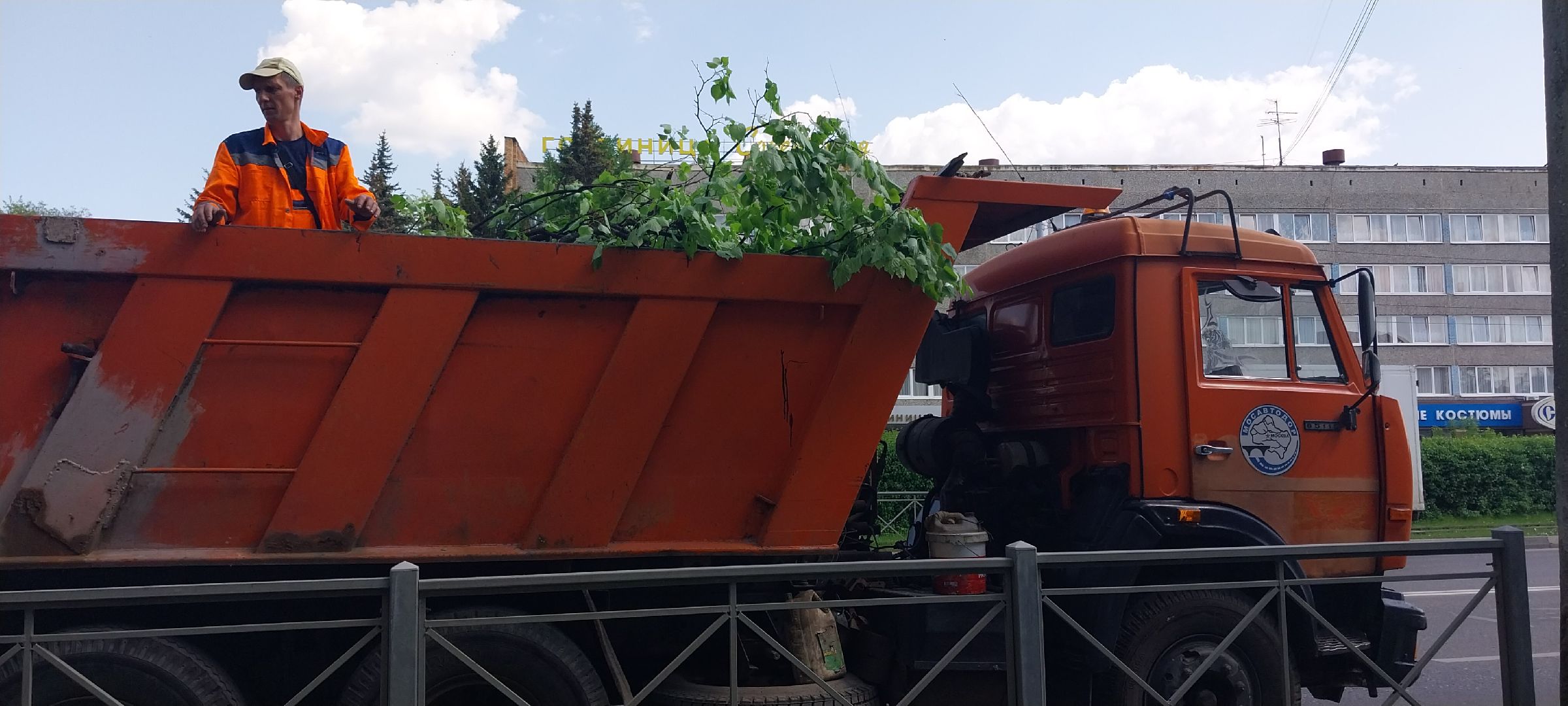 коломна, дорожные работы, деревья