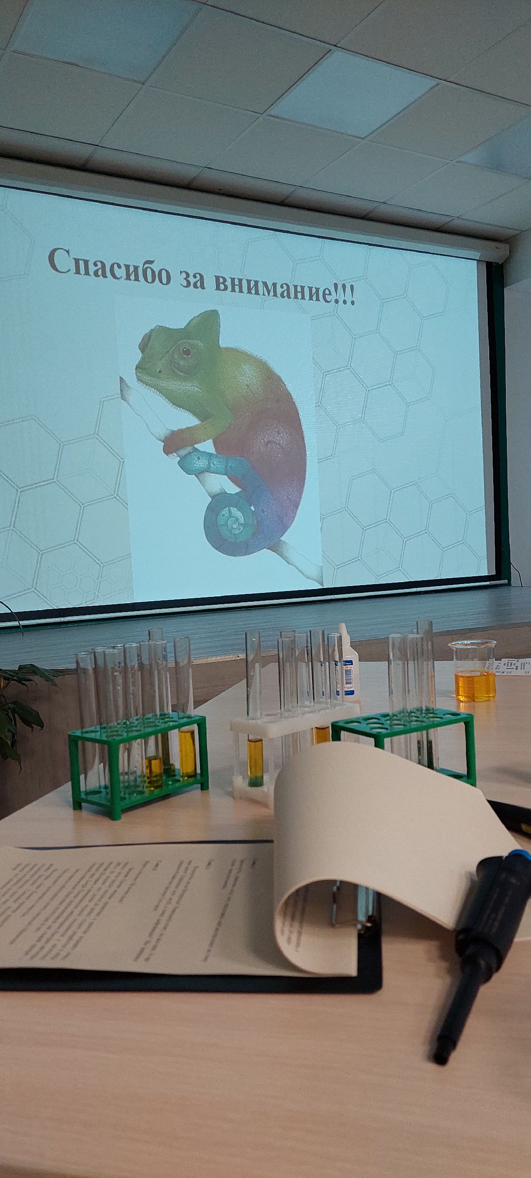 Пущино, образование