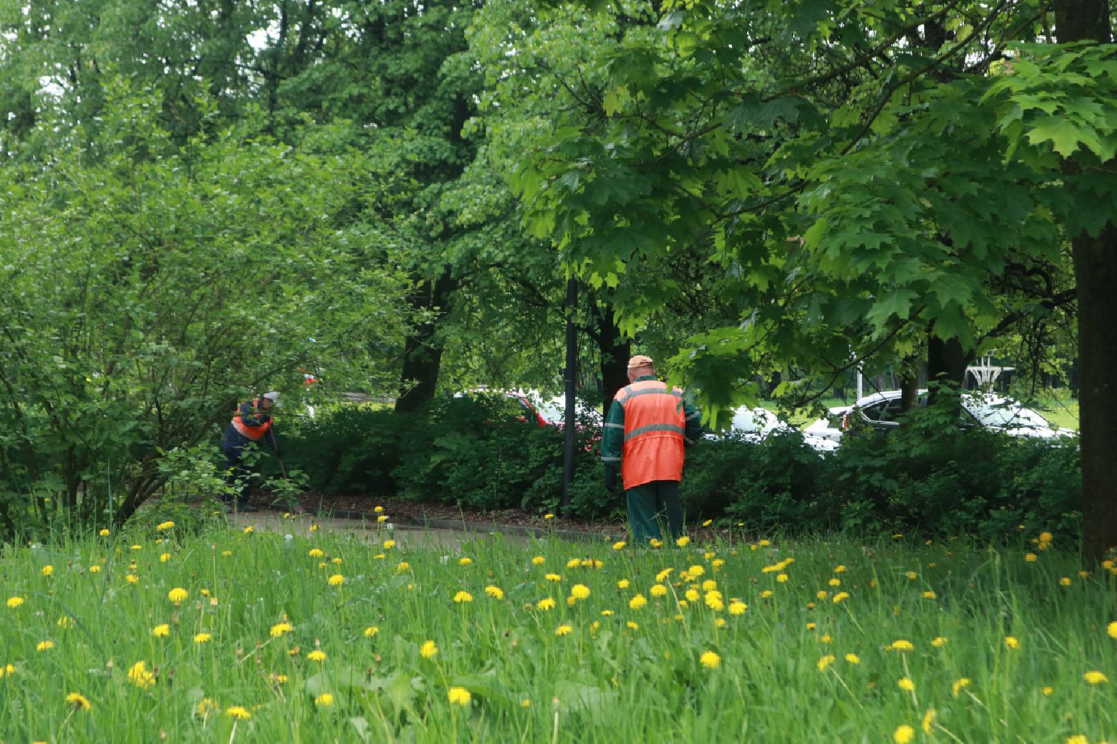 Пущино, Мосавтодор