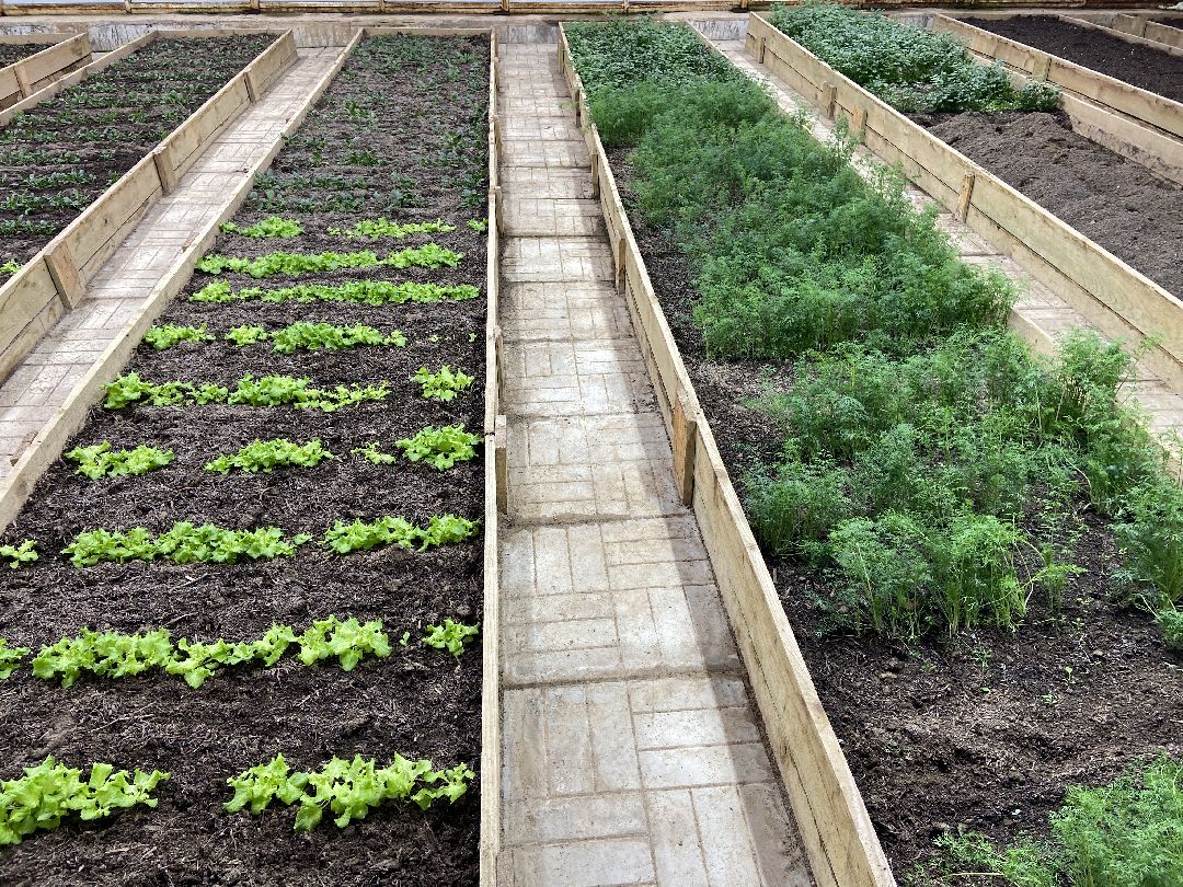 Волоколамск