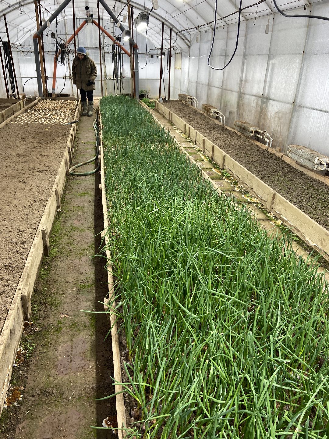 Волоколамск