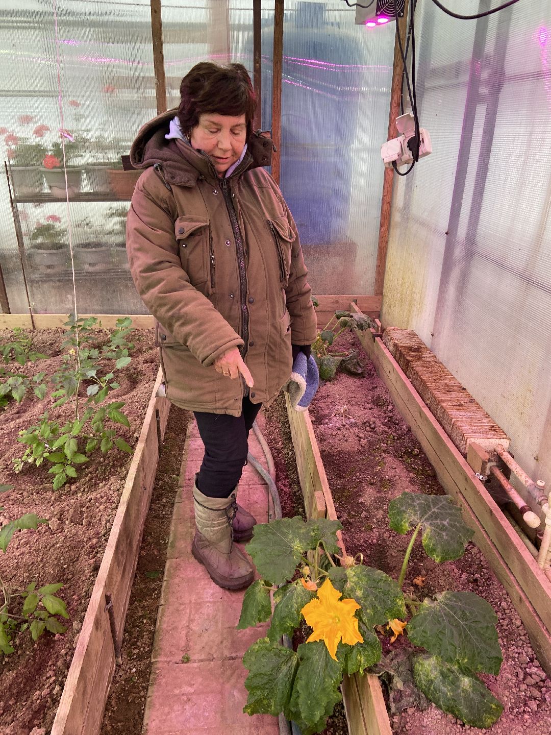 Волоколамск