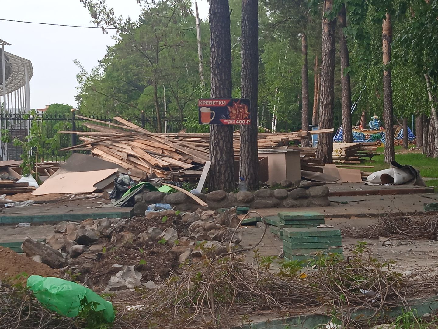 парк, культуры, отдыха, реконструкция, зонирование