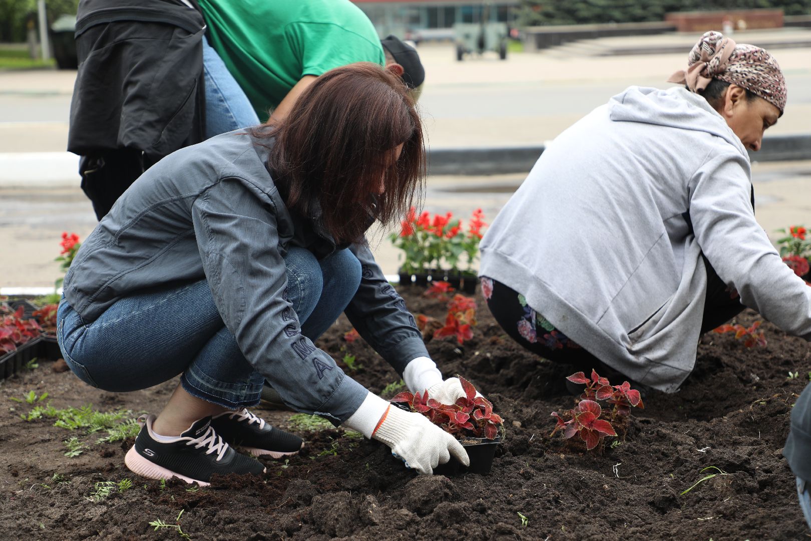 лыткарино, жкх, уборка, цветы,