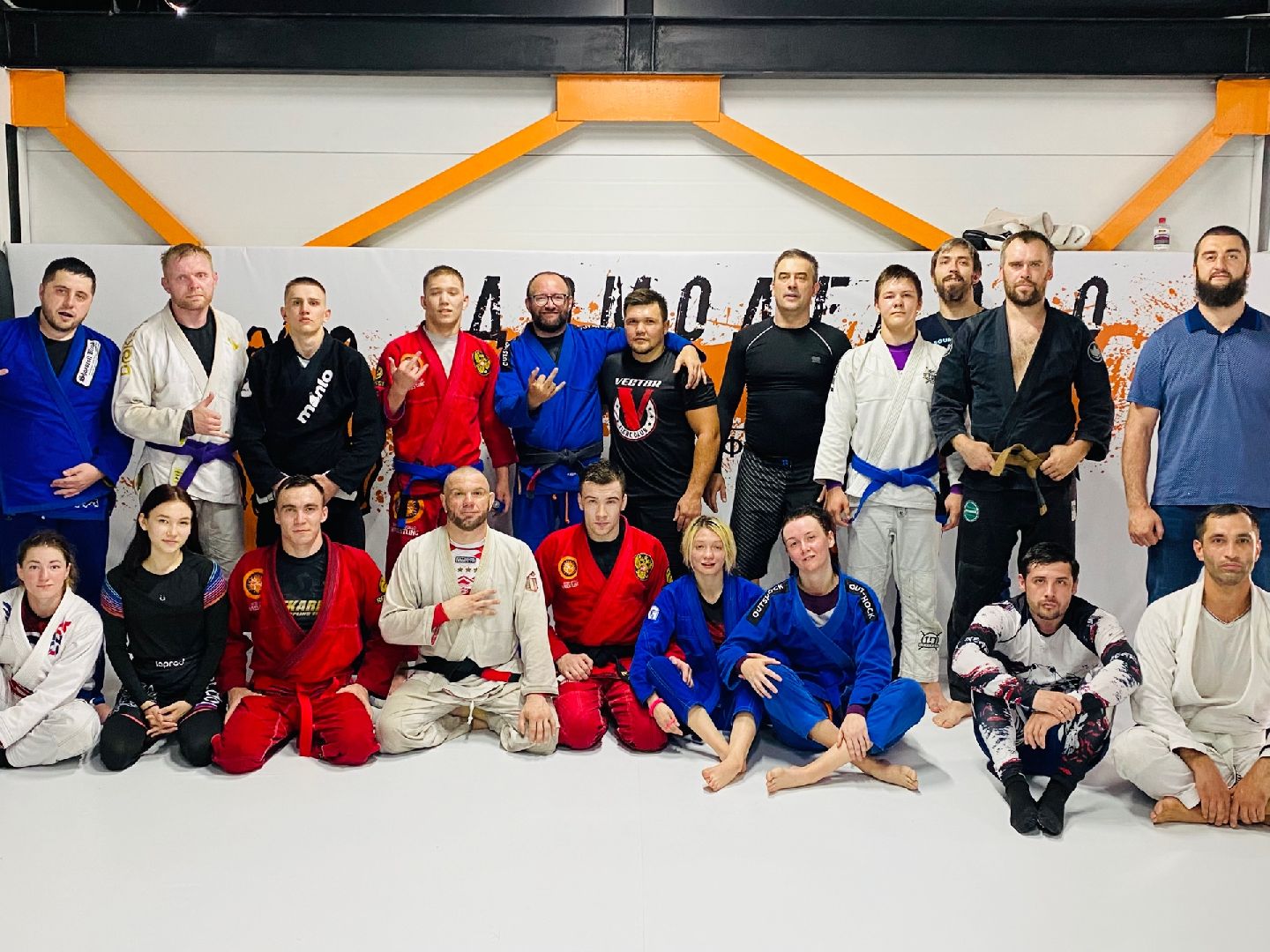 Домодедово, спорт, борьба, самбо, джиу джитсу, дзюдо