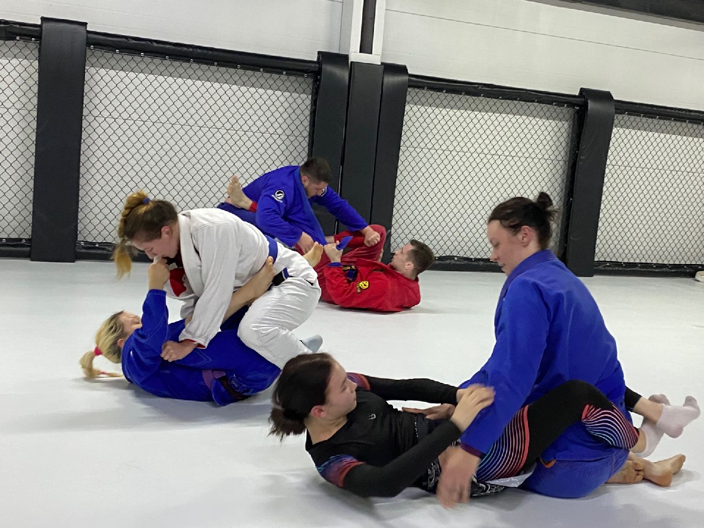 Домодедово, спорт, борьба, самбо, джиу джитсу, дзюдо