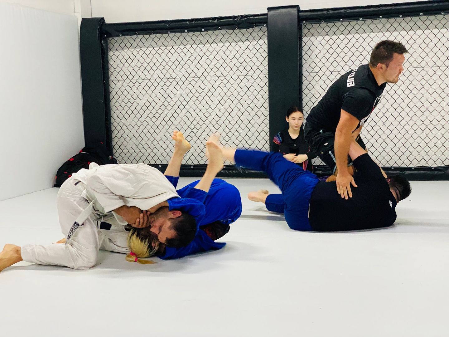 Домодедово, спорт, борьба, самбо, джиу джитсу, дзюдо