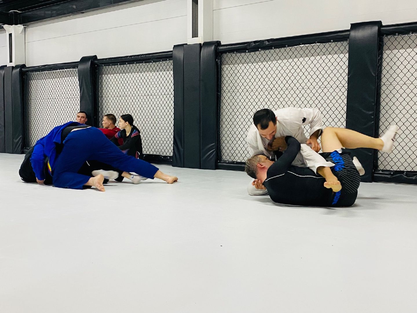 Домодедово, спорт, борьба, самбо, джиу джитсу, дзюдо