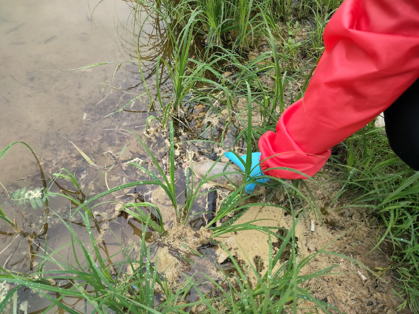 экология, вода России, экоакция, волотнеры, протвинский карьер