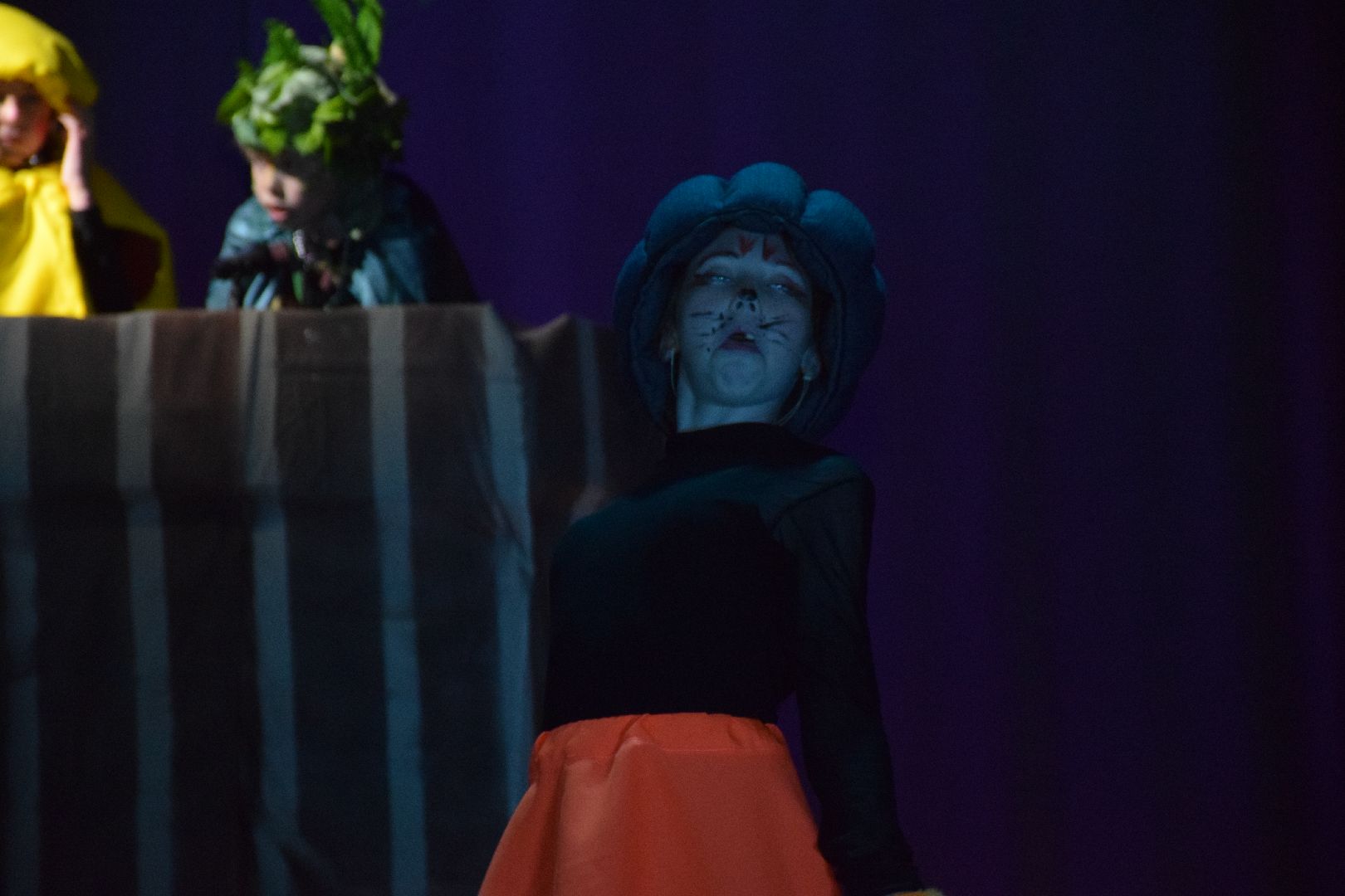 Павловский Посад, городской округ Павловский Посад, спектакль, дети, творчество