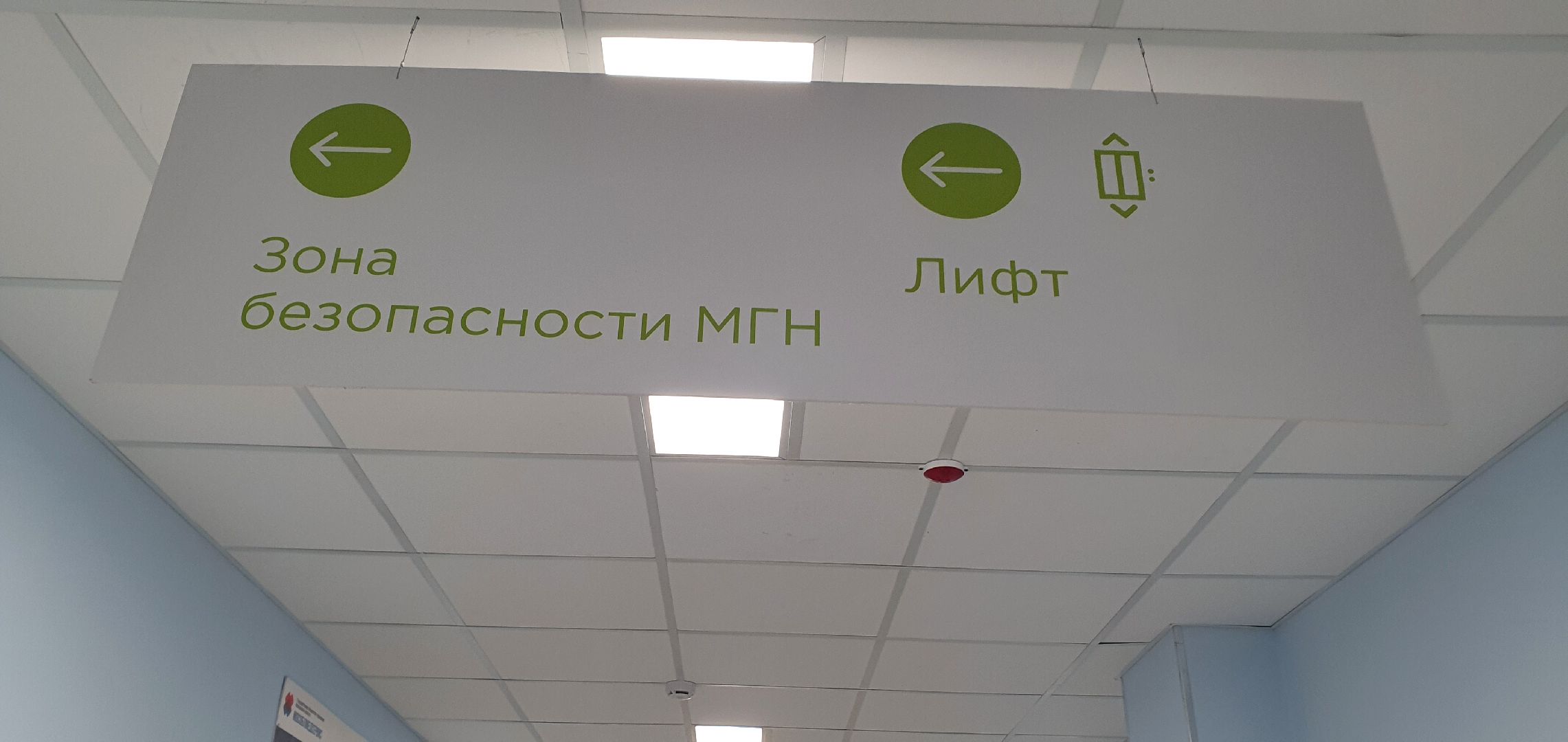 поликлиника в Южном, Домодедово