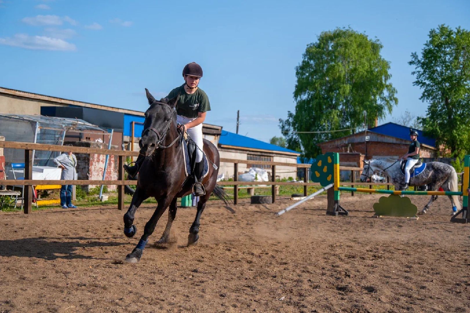 Конкур, лошади, спорт, конный спорт, КСК