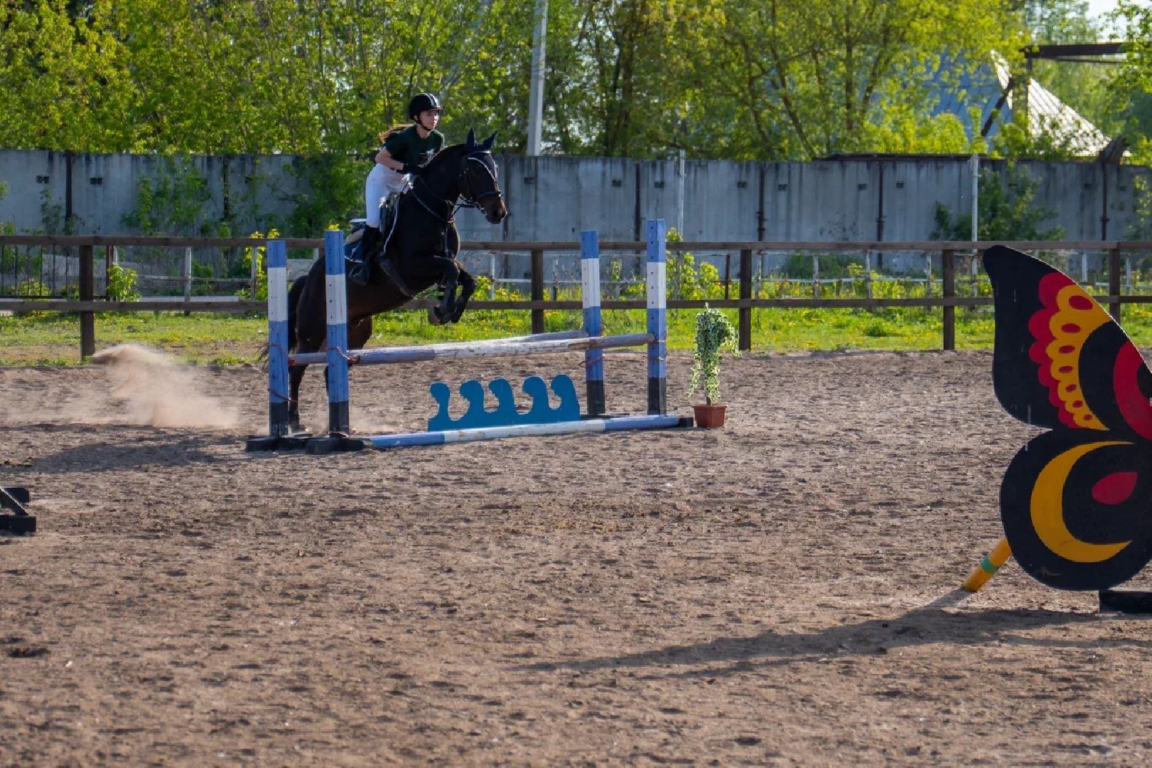 Конкур, лошади, спорт, конный спорт, КСК