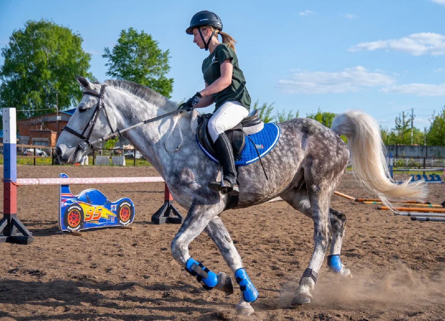 Конкур, лошади, спорт, конный спорт, КСК
