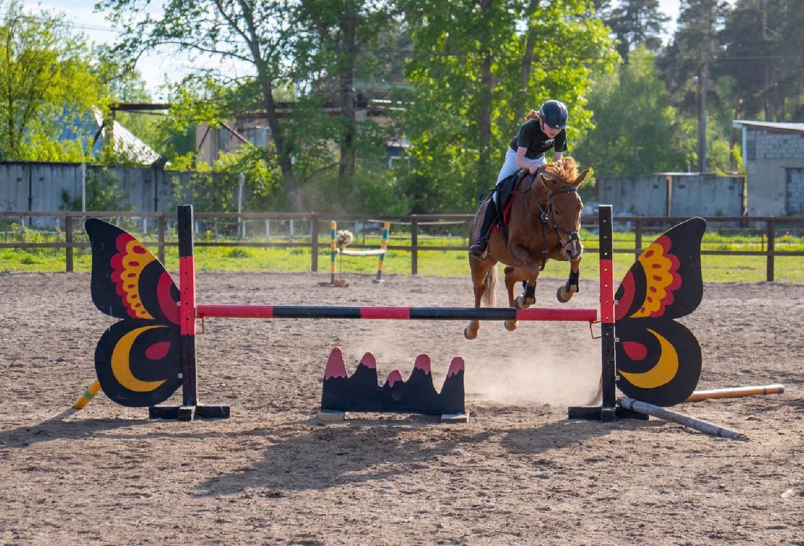 Конкур, лошади, спорт, конный спорт, КСК