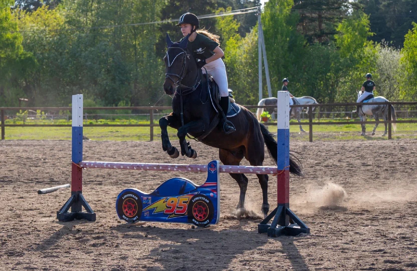 Конкур, лошади, спорт, конный спорт, КСК