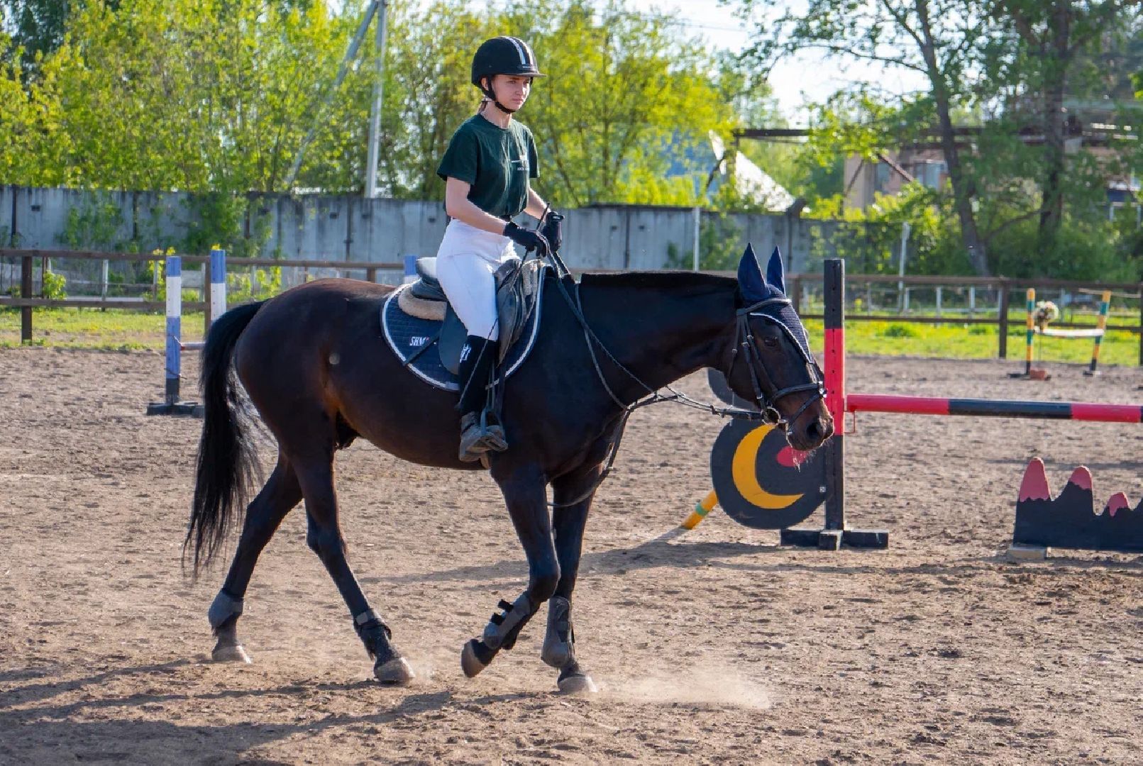 Конкур, лошади, спорт, конный спорт, КСК