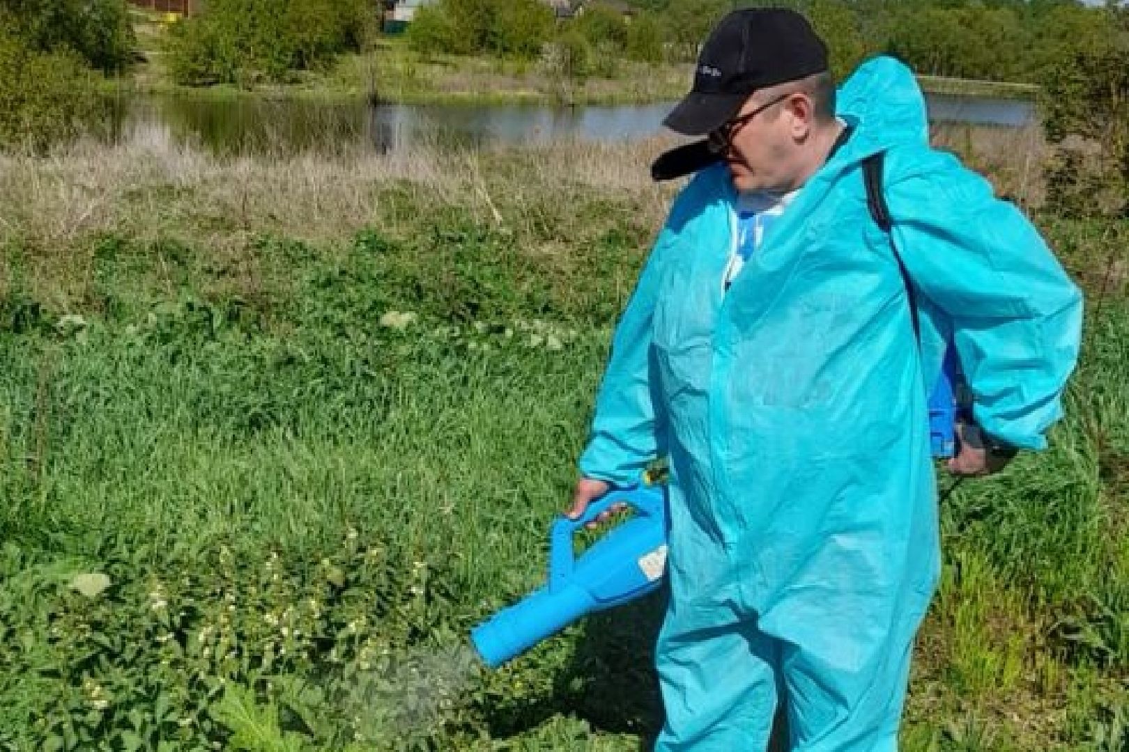 Подольск, борщевик