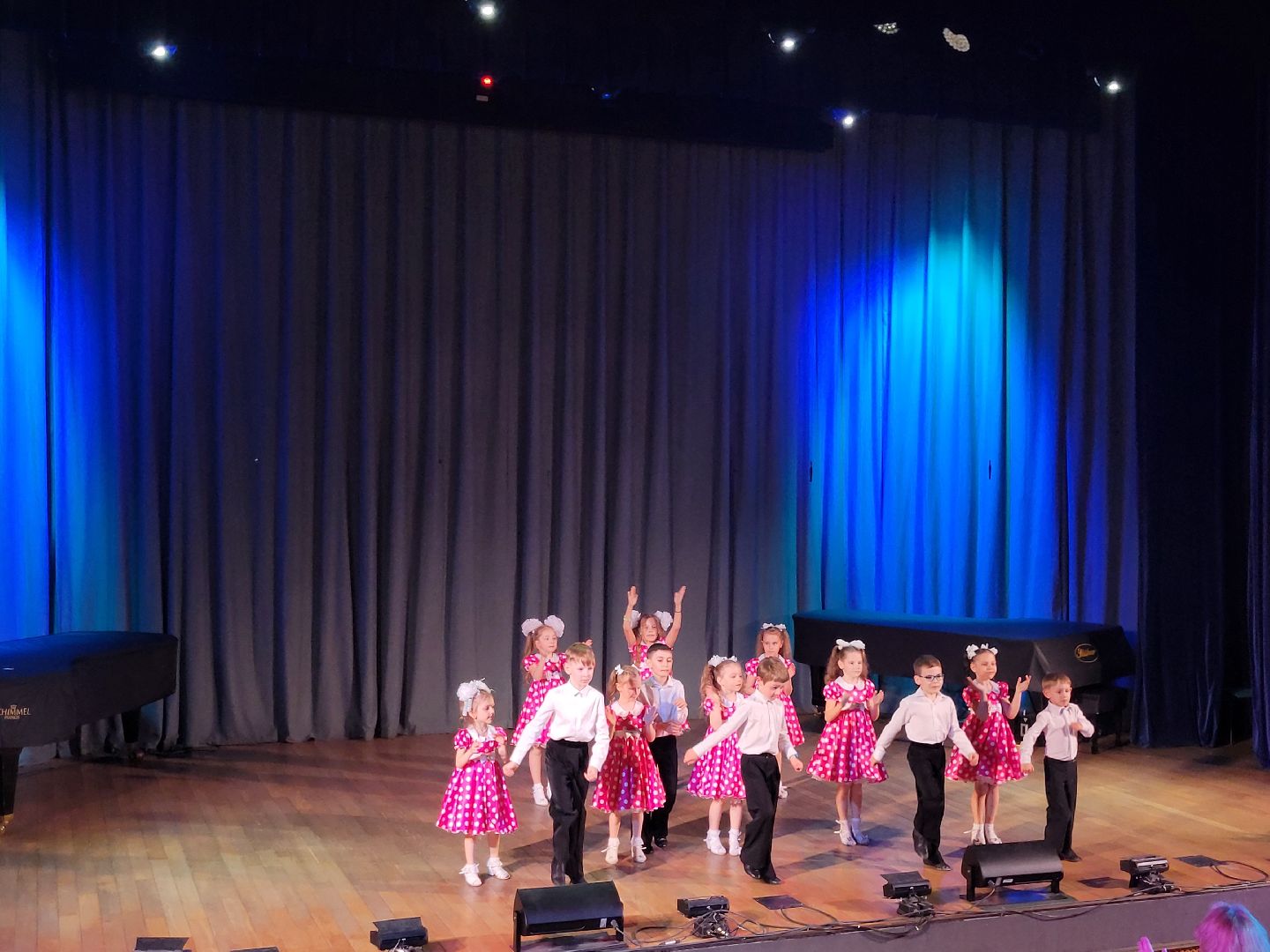 дети; видное; танцы; концерт; дши