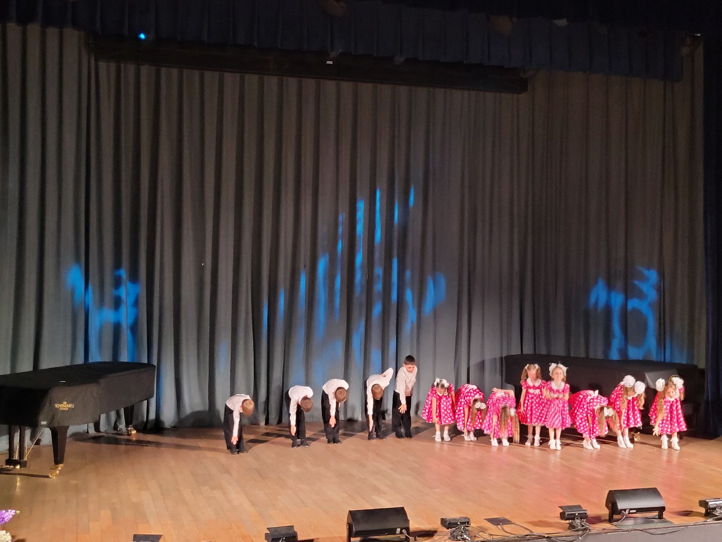 дети; видное; танцы; концерт; дши