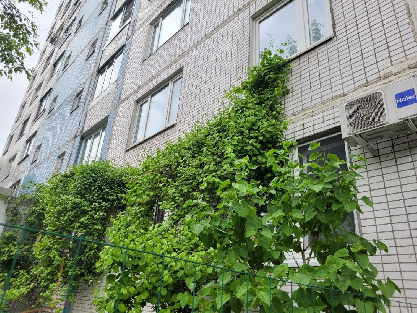 люди; добро; сад; добрые дела