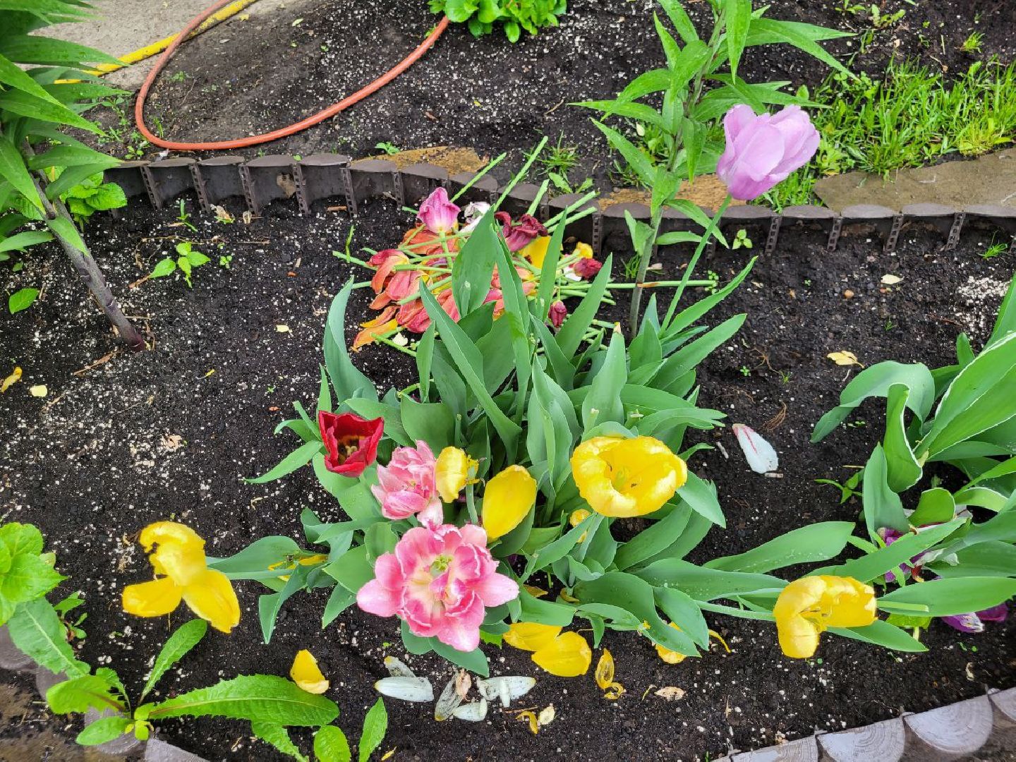 люди; добро; сад; добрые дела