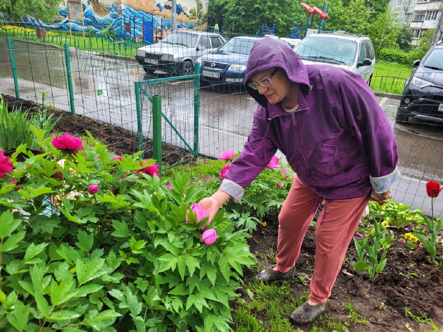 люди; добро; сад; добрые дела